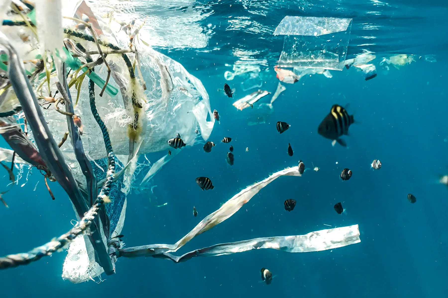 Beach Clean Habits That Make a Big Difference