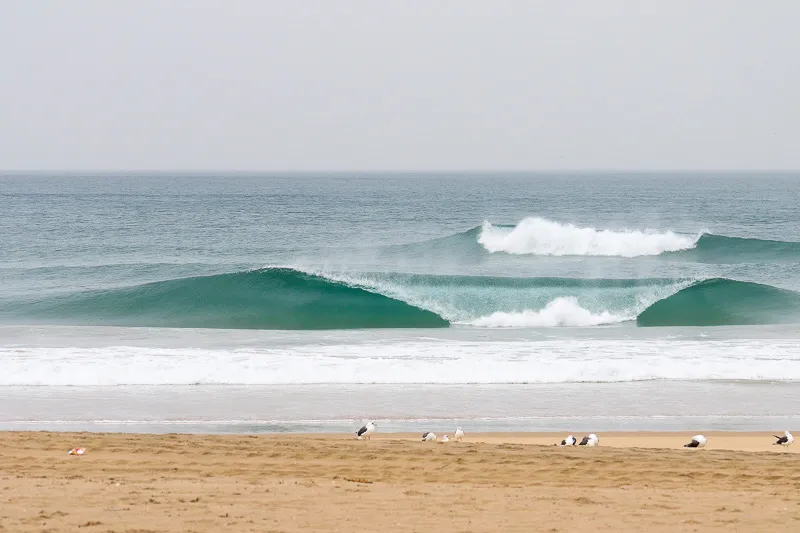 Travel Insurance for Bodyboarding