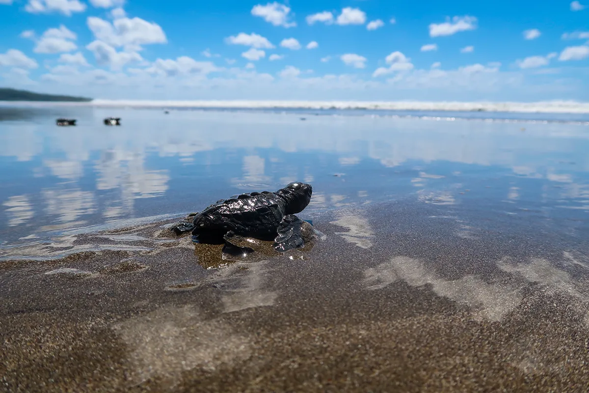 Nicaragua Bodyboarding Travel